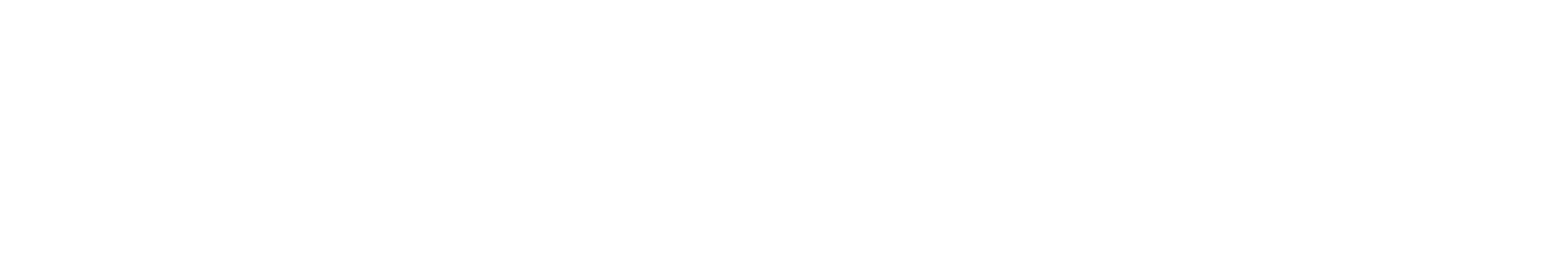 RapidStaff